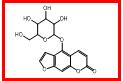  佛手酚葡萄糖苷.jpg